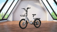 Delta E-Bike Dodo C2