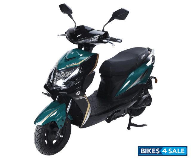 DM Electric Roadking DM Electric Roadking