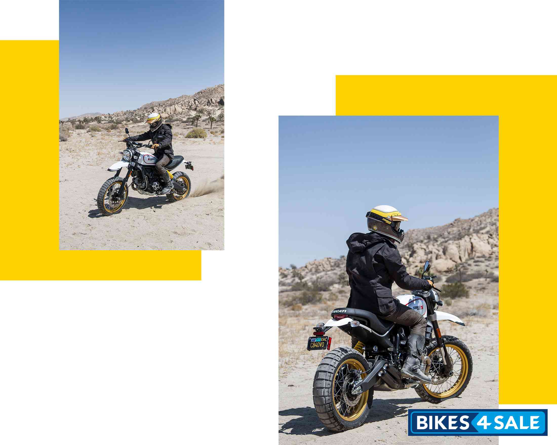 Ducati Scrambler Desert Sled