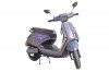 E-Vishwa Swinger Plus