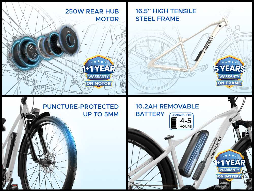 EMotorad T-Rex Smart