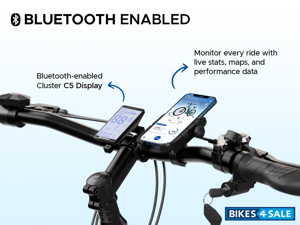 EMotorad T-Rex Smart