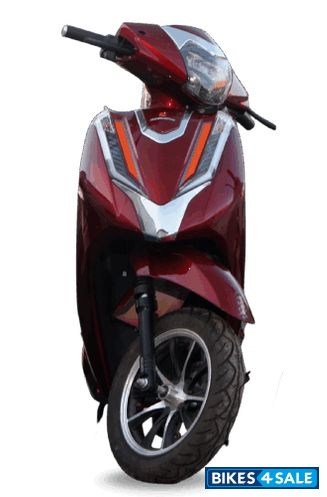 Ereganto Discovery Pro