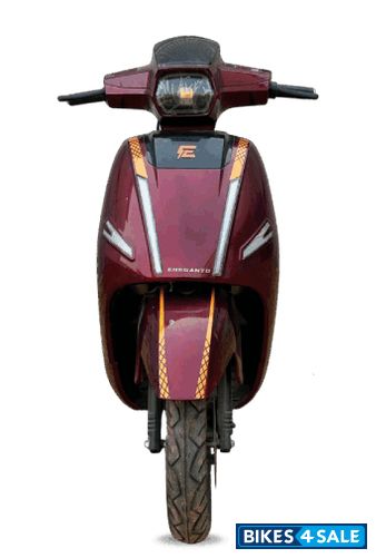 Ereganto Electra Pro