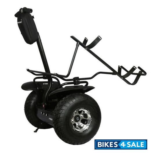 Freego F4 Golf Model