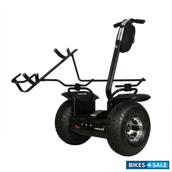 Freego F4 Golf Model