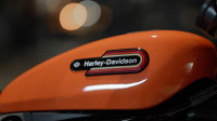 Harley Davidson 2024 Nightster Special