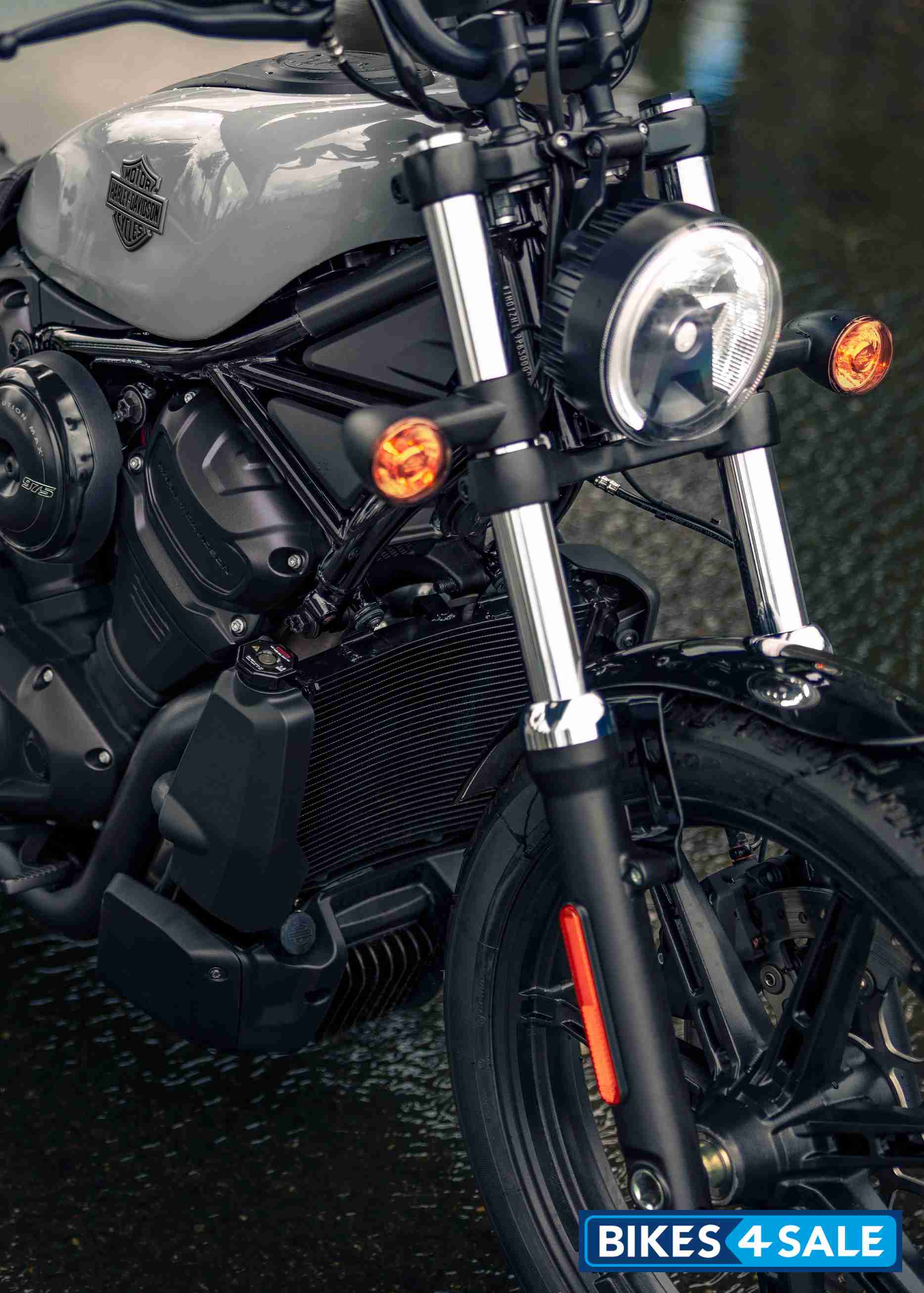 Harley Davidson Nightster 2025