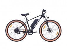 Hero Cycles Lectro Y3