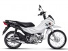 Honda Pop 110i