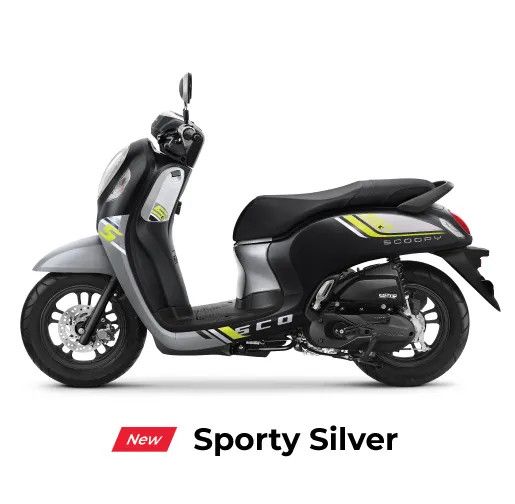 Honda Scoopy - Sporty Silver