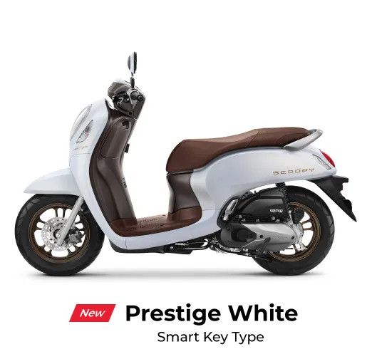 Honda Scoopy - Prestige White