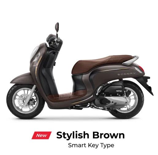 Honda Scoopy - Stylish Brown