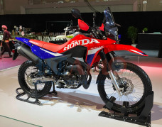 Honda XR 300 Rally