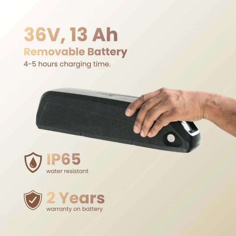 Hornback Unibyk Plus
