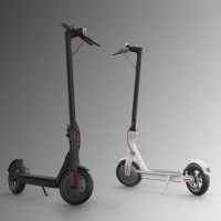 Hoverboards India Eco Electric Scooter