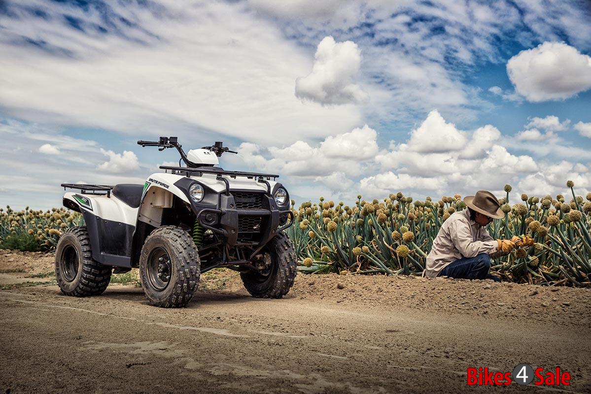 Kawasaki Brute Force 300