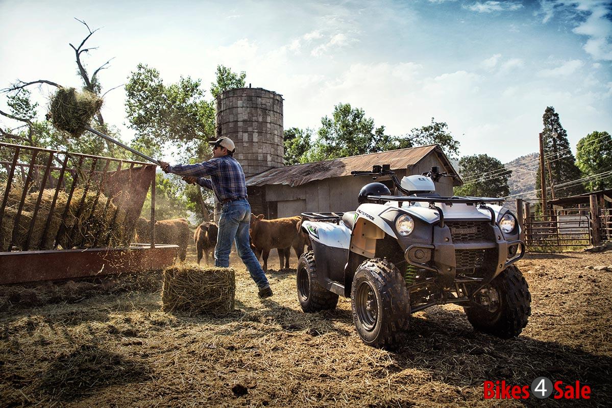 Kawasaki Brute Force 300
