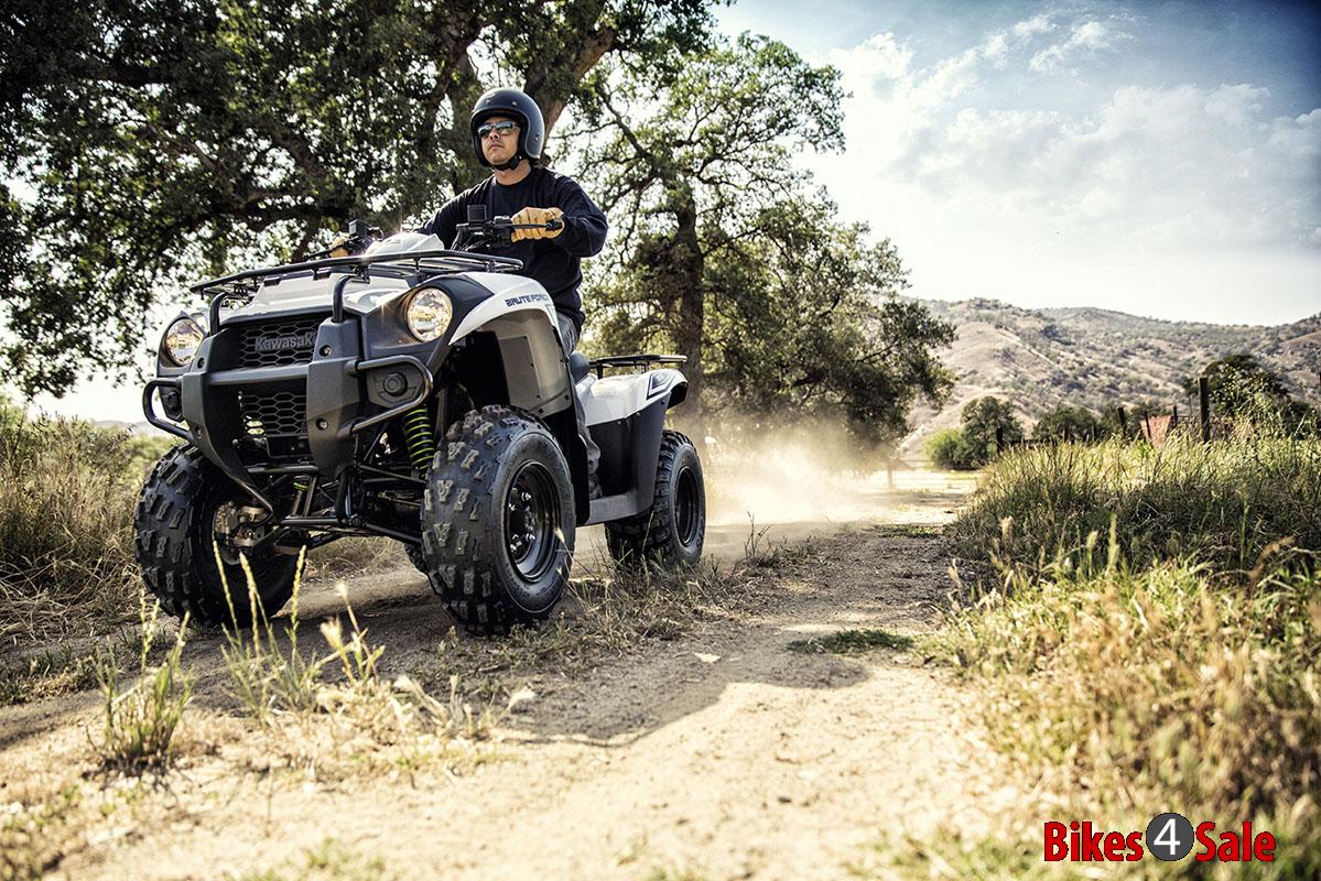 Kawasaki Brute Force 300