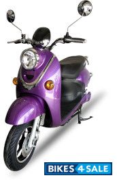 Lundafei Little Turtle King