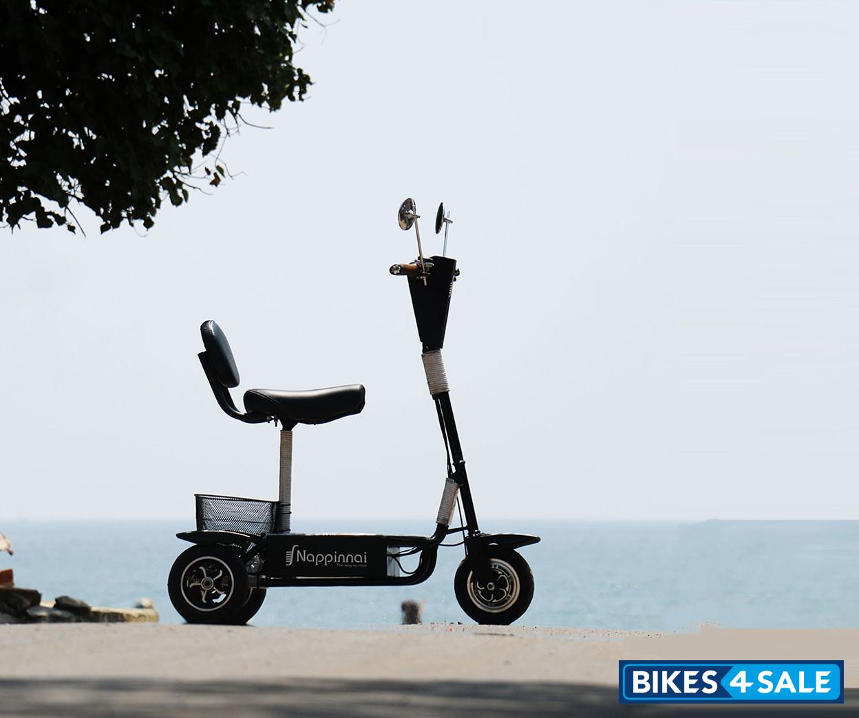 Nappinnai Scotra CML