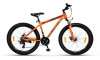 Ninety One Regionx 26T Multispeed