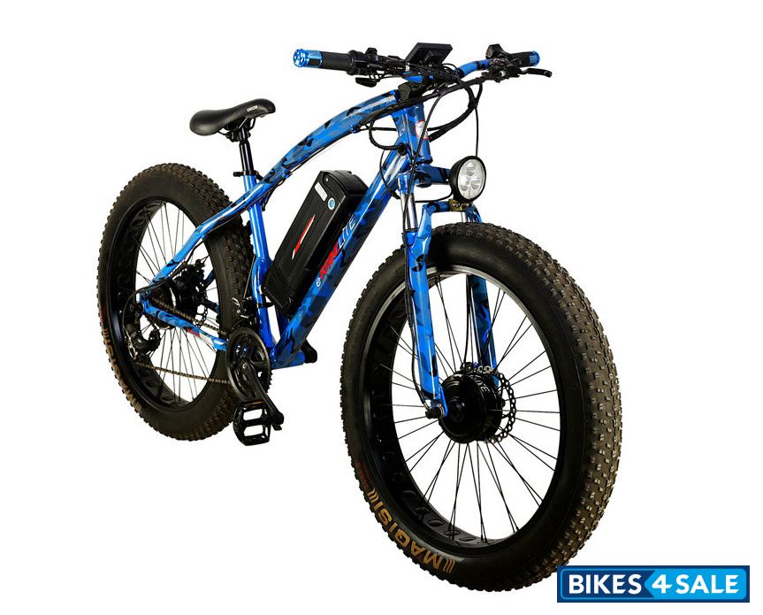 R2H Motors eRideLite Dual