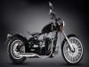 Regal Raptor Bobber