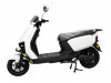Ryoto Electrix Zara