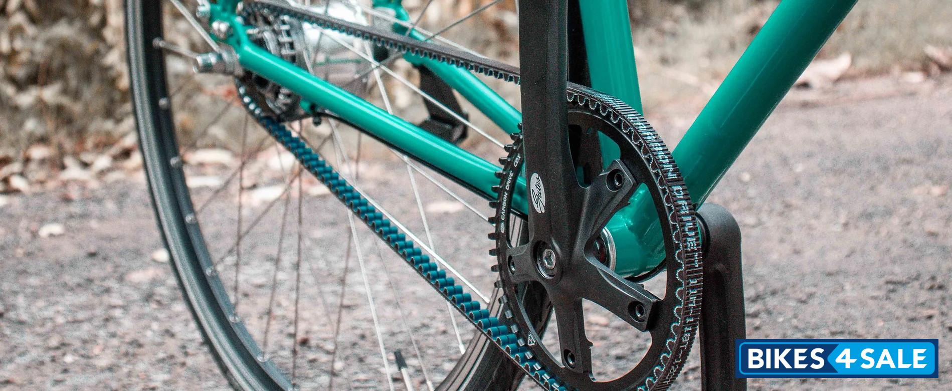 Scolarian Koyna Belt