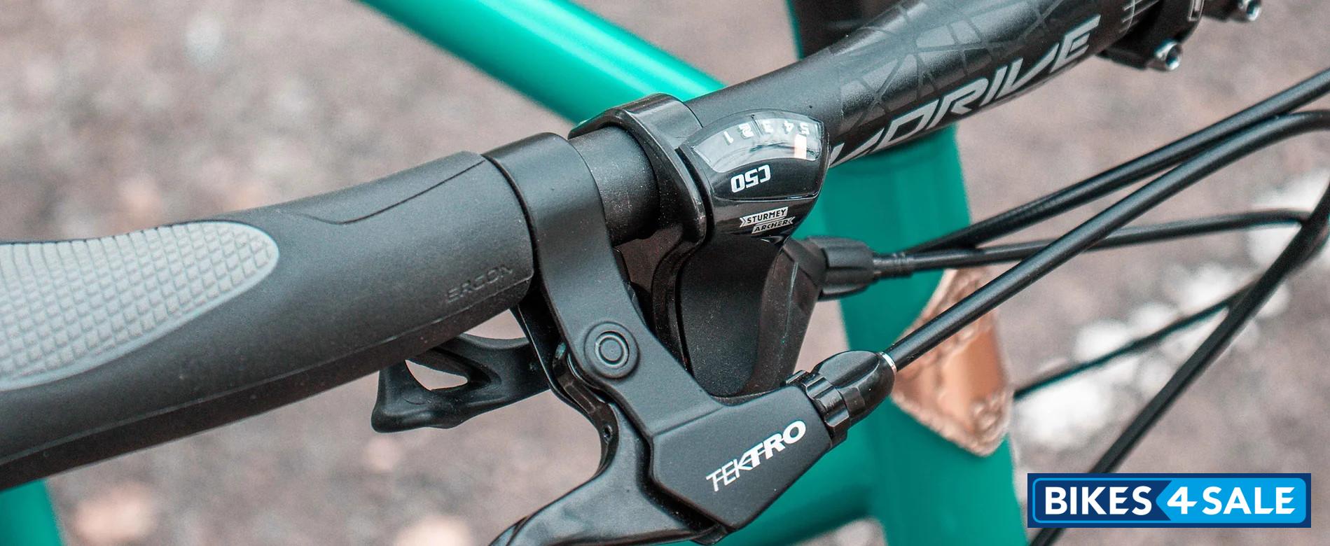 Scolarian Koyna Belt