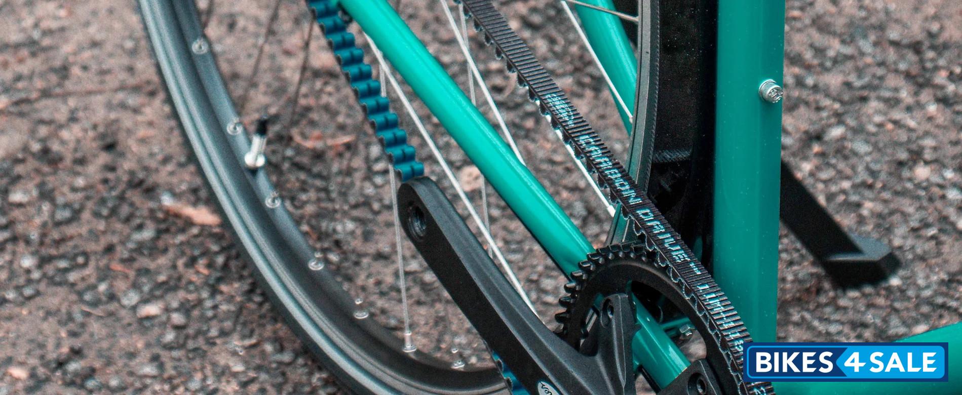 Scolarian Koyna Belt