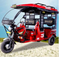 Speego DLX E-Rickshaw