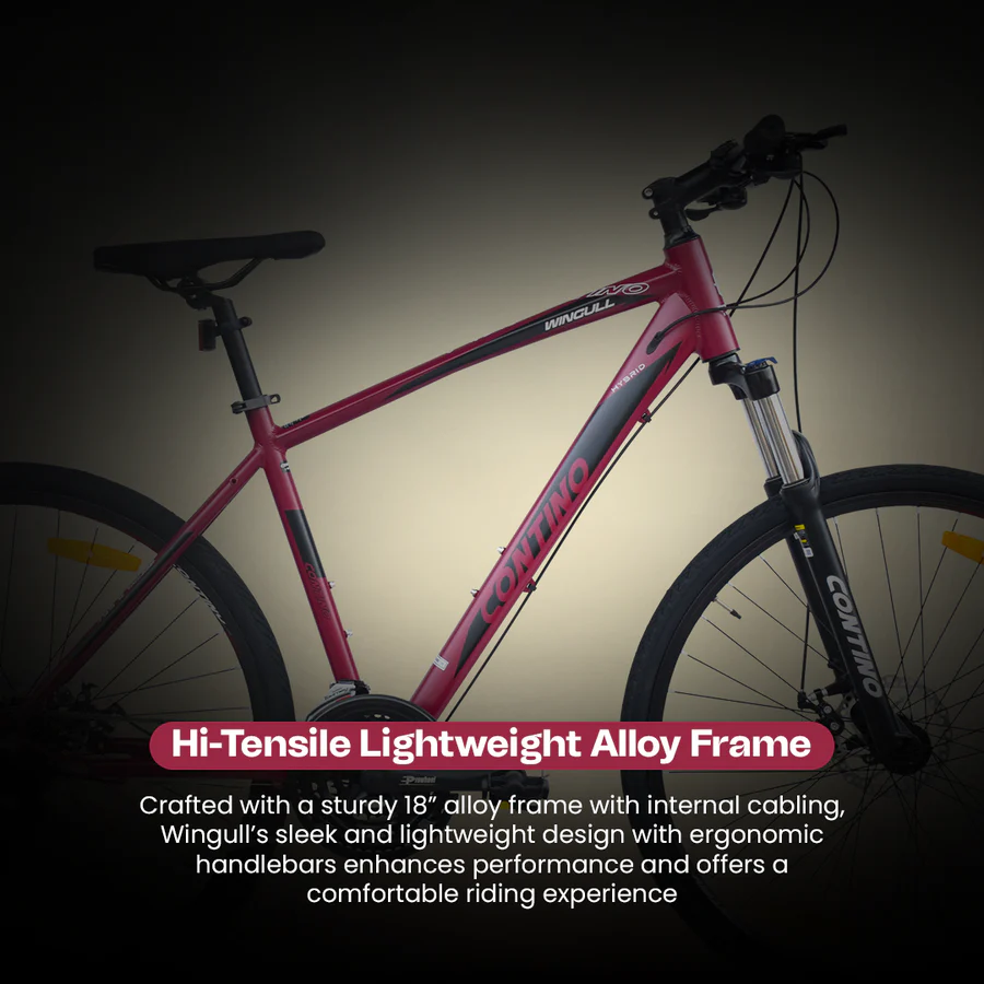 Stryder Contino 700C Wingull 24 Speed