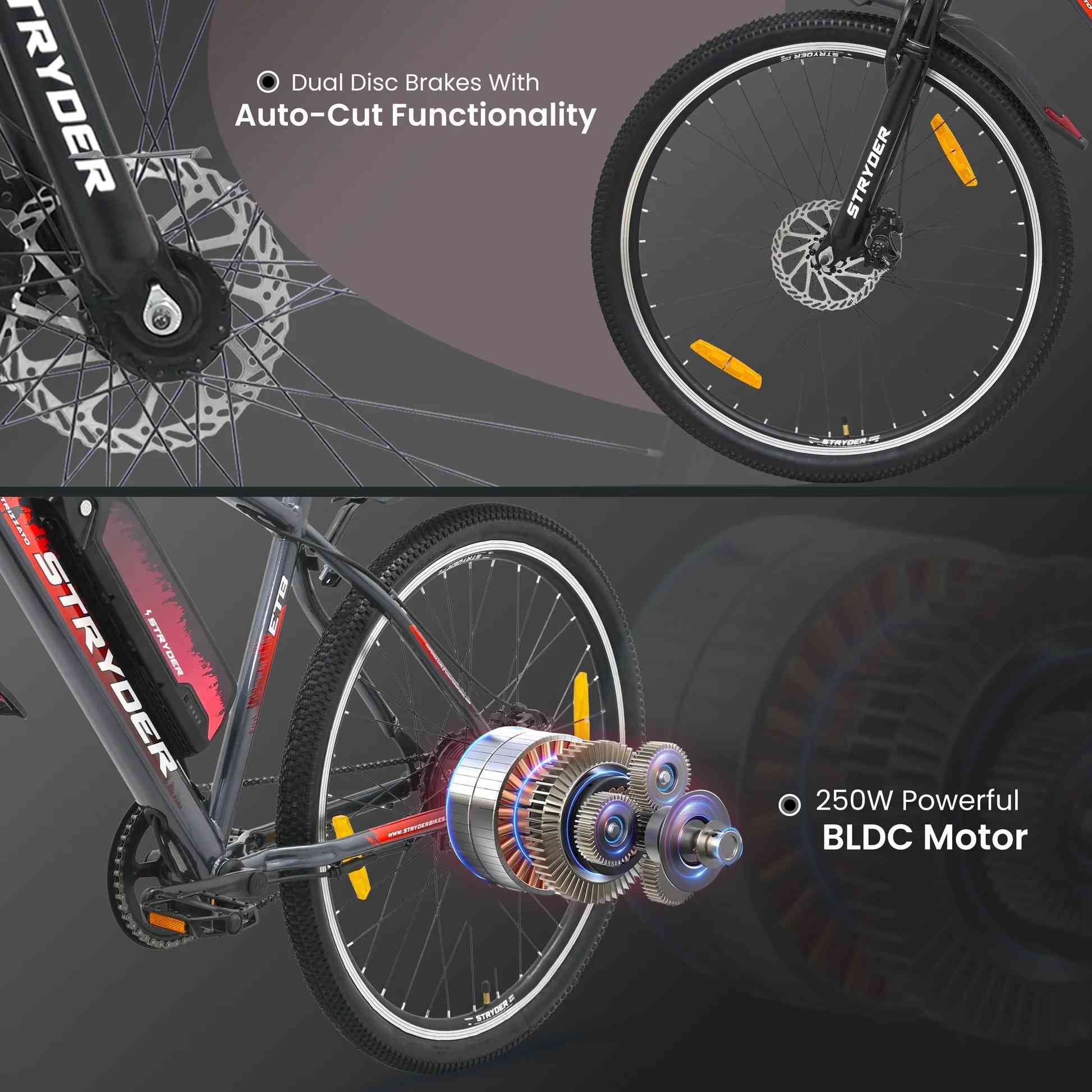 Stryder Dynamiq