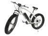 Sturdy Bikes Electric Fat Bike