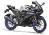 Yamaha YZF R2M