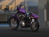 2014 Harley Davidson Sportster Iron 883