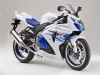 2014 Suzuki GSX-R1000 SE