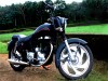 Enfield 350 Modified