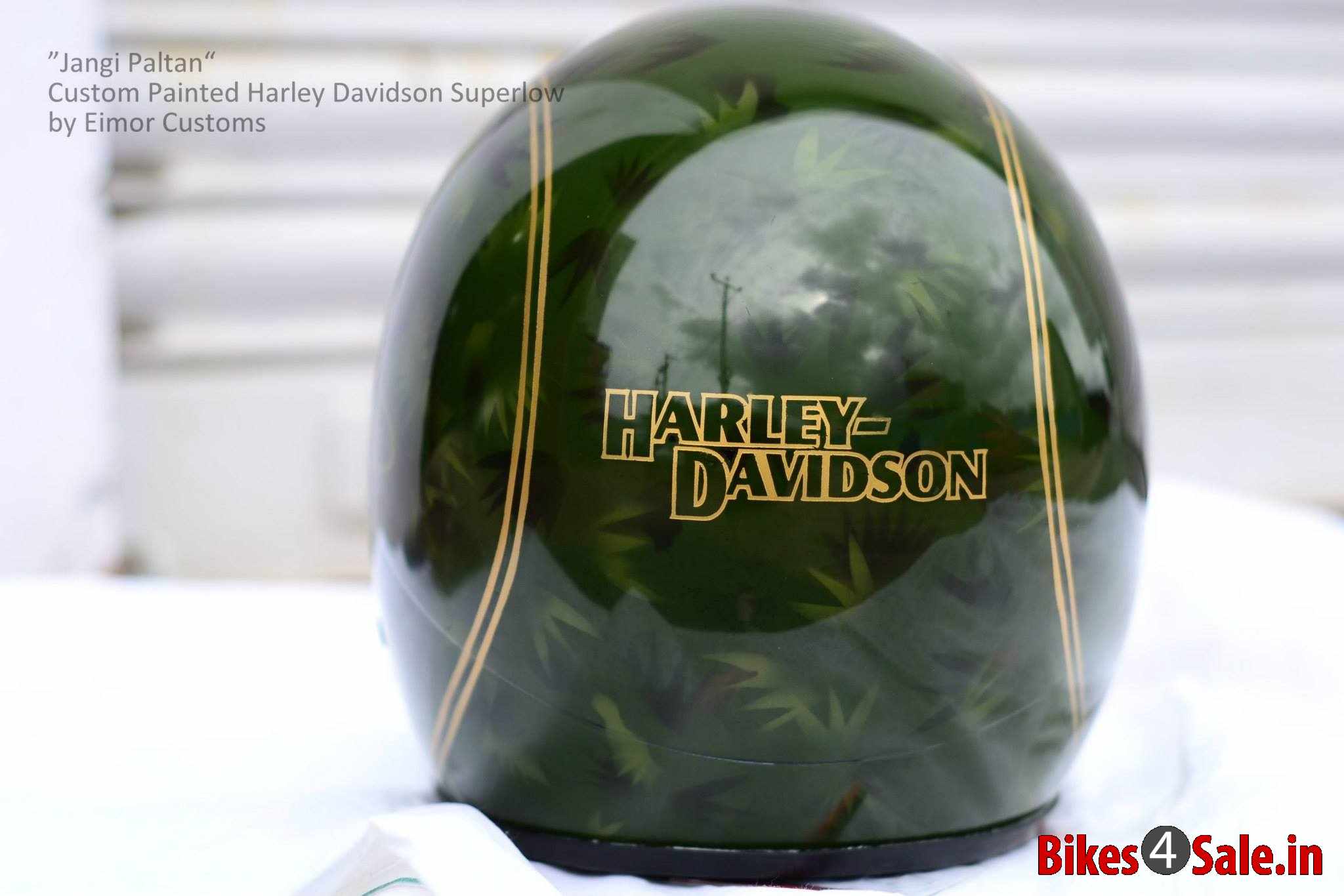 Harley Davidson Jangi Paltan Helmet