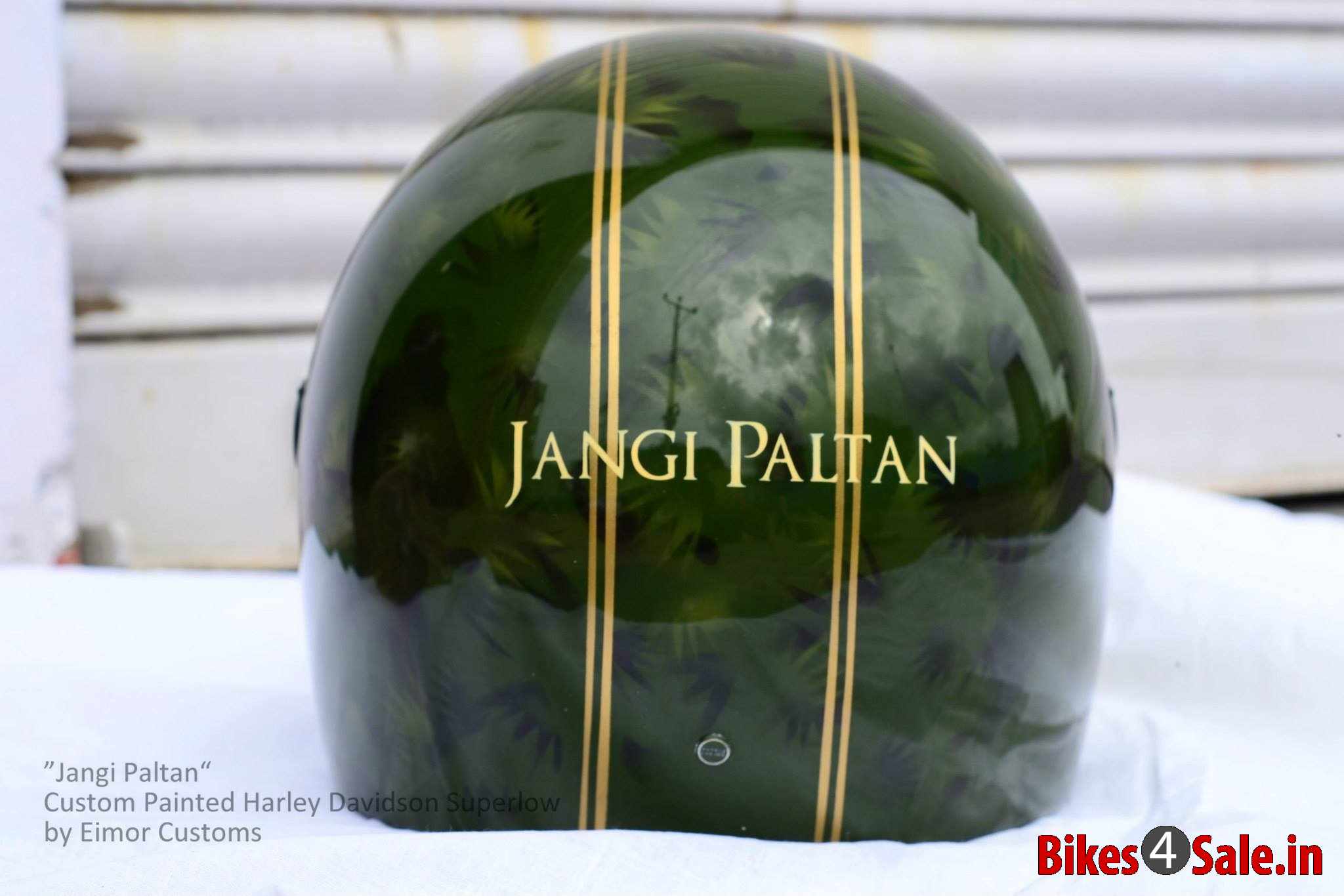 Jangi Paltan Helmet