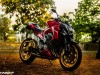 Knight Auto Customizer  Z800 Metallic Red Wrap