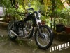 Lazybone Bobber