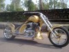Metal Leopards Chopper 2