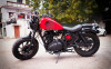 Custom Motorcycle Simba