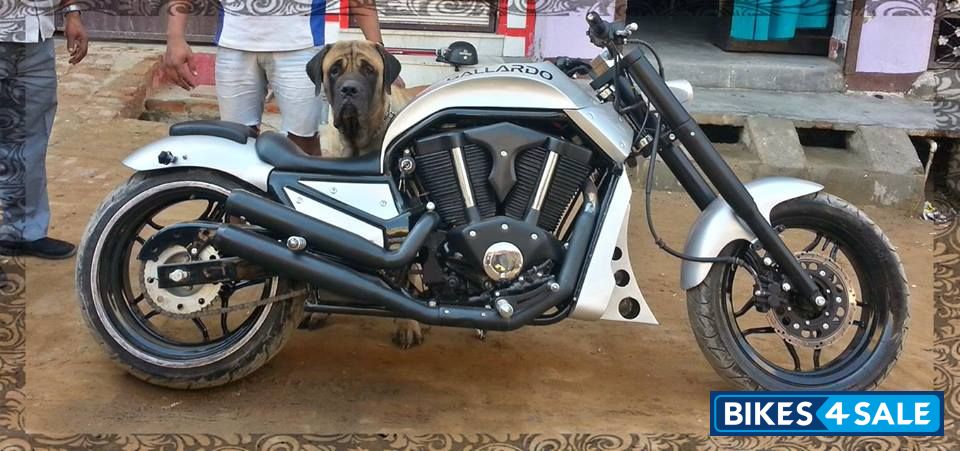 Royal Mech Chopper Builders