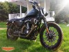 Custom HD Iron 883