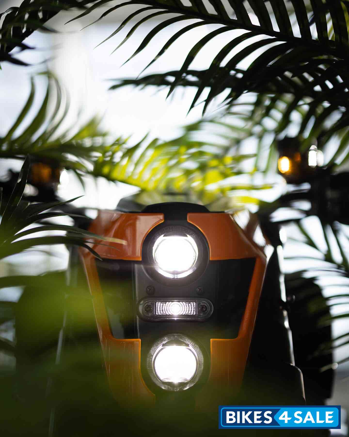 Verge Ts Pro California Edition Front View