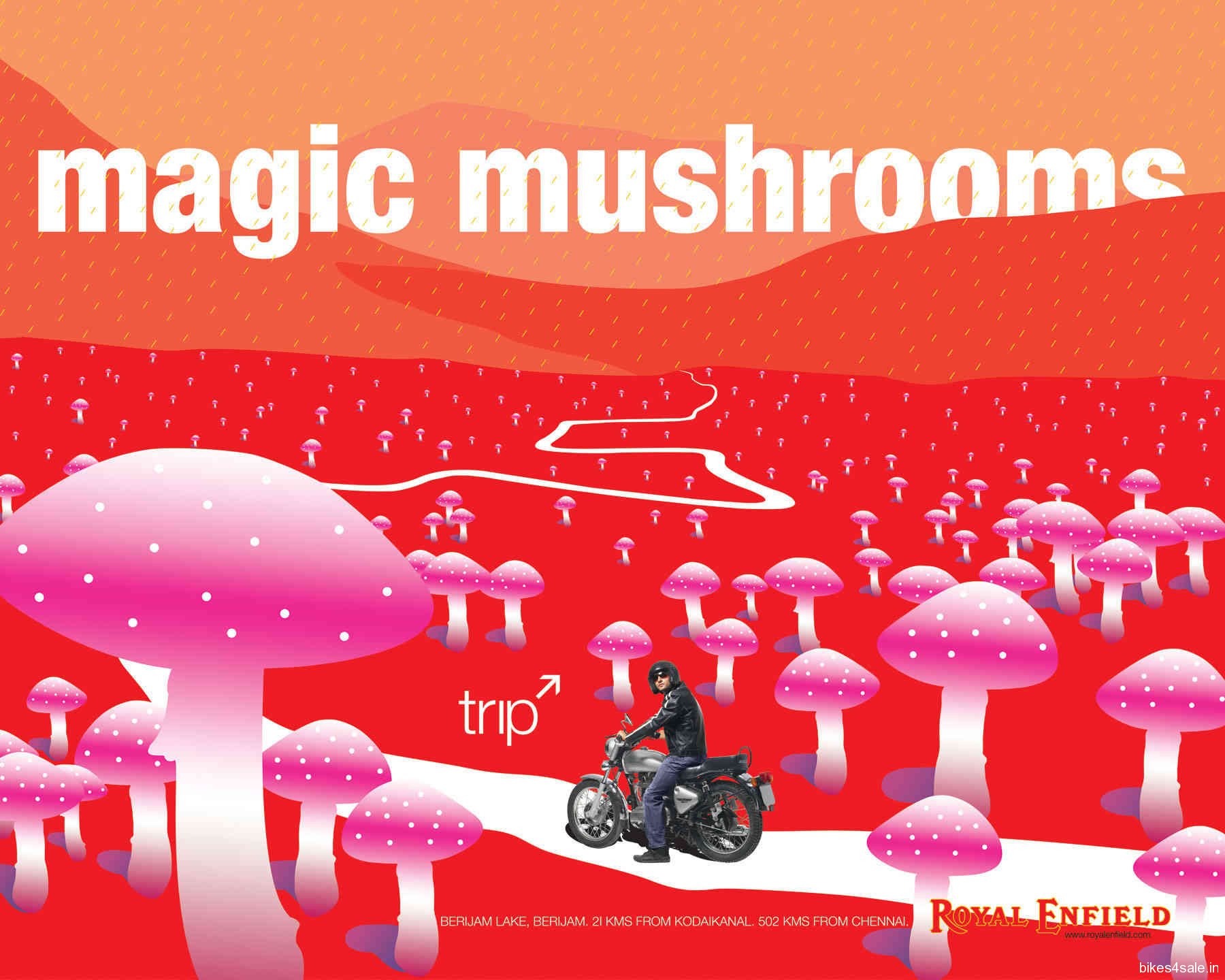 Royal Enfield Trip Magic Mushrooms